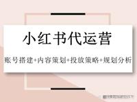 小红书推广为什么要专业的代运营公司？